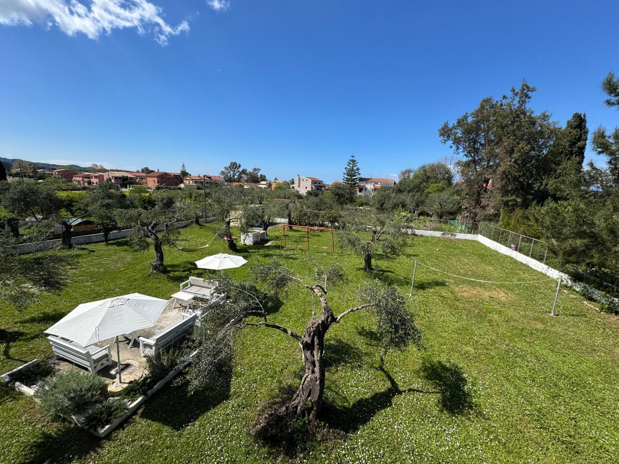 Olive Garden Studios & Apartments Acharavi (Corfu) Exterior foto